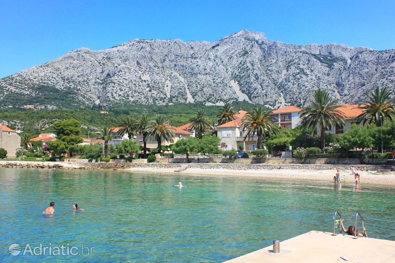 Adriatic.hr