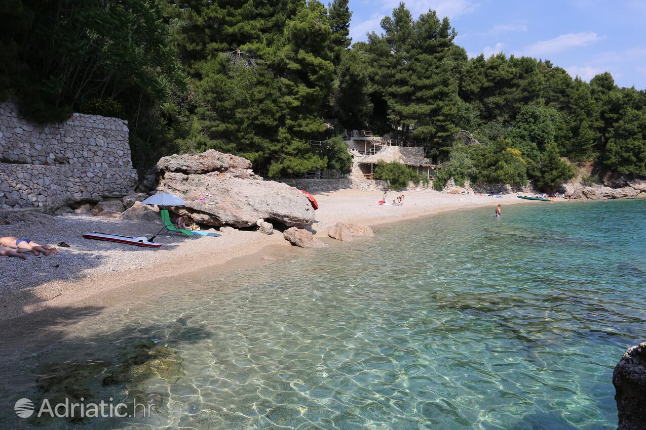 Adriatic.hr