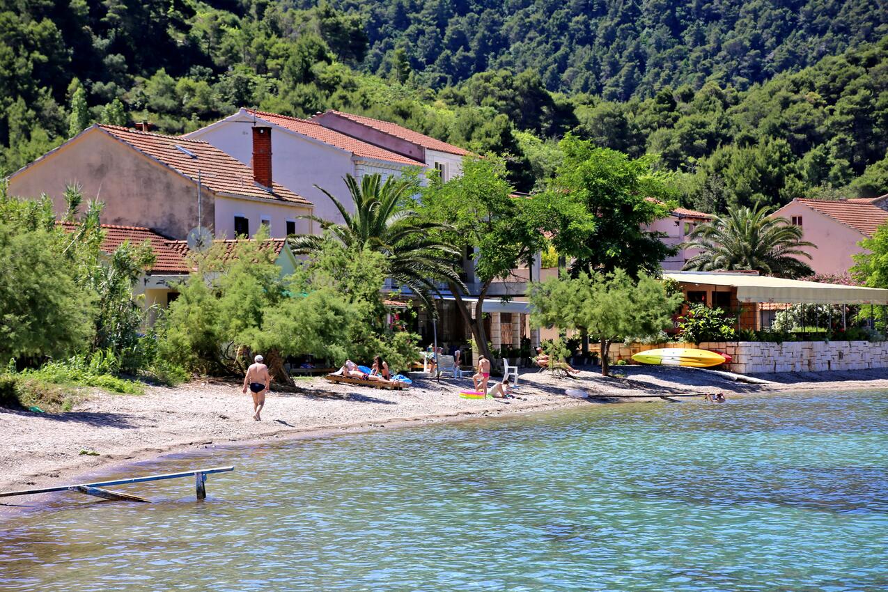 Najbliža plaža - Apartmani i sobe uz more Žuljana, Pelješac