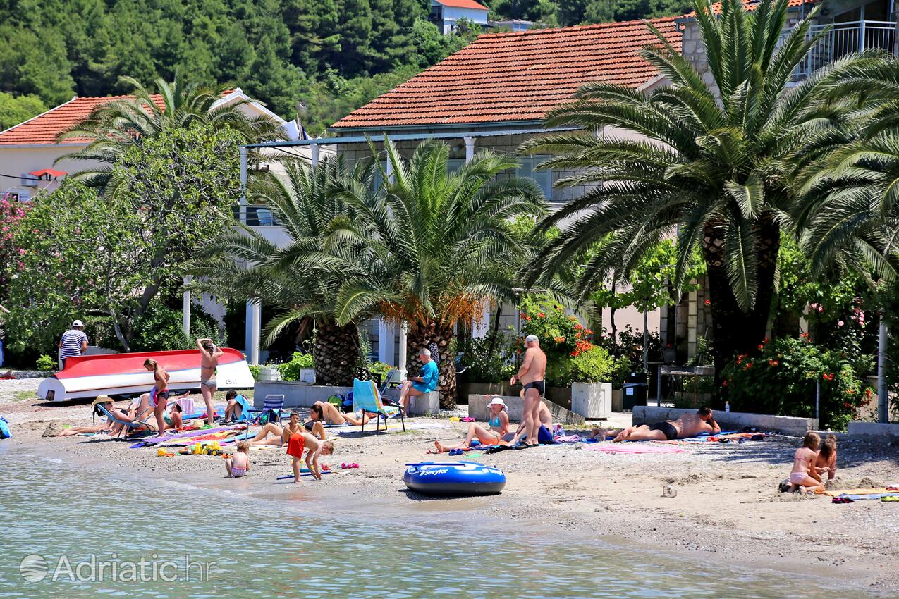 Adriatic.hr