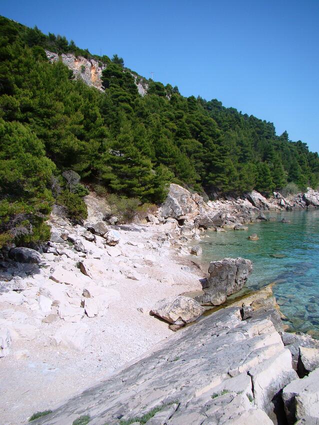 La spiaggia più vicina - Appartamenti con parcheggio Borje, Sabbioncello - Pelješac
