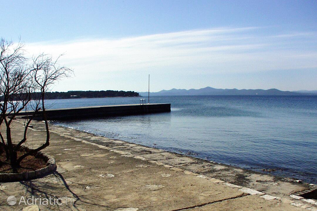 Adriatic.hr