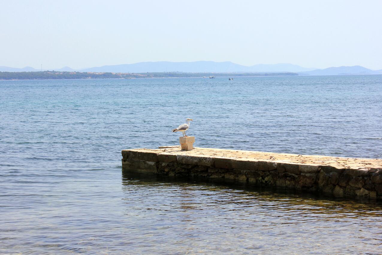 La spiaggia più vicina - Appartamenti accanto al mare Tuconio - Tkon, Pasman