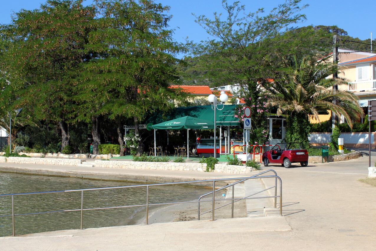 La spiaggia più vicina - Appartamenti accanto al mare Oltre - Preko, Ugliano - Ugljan