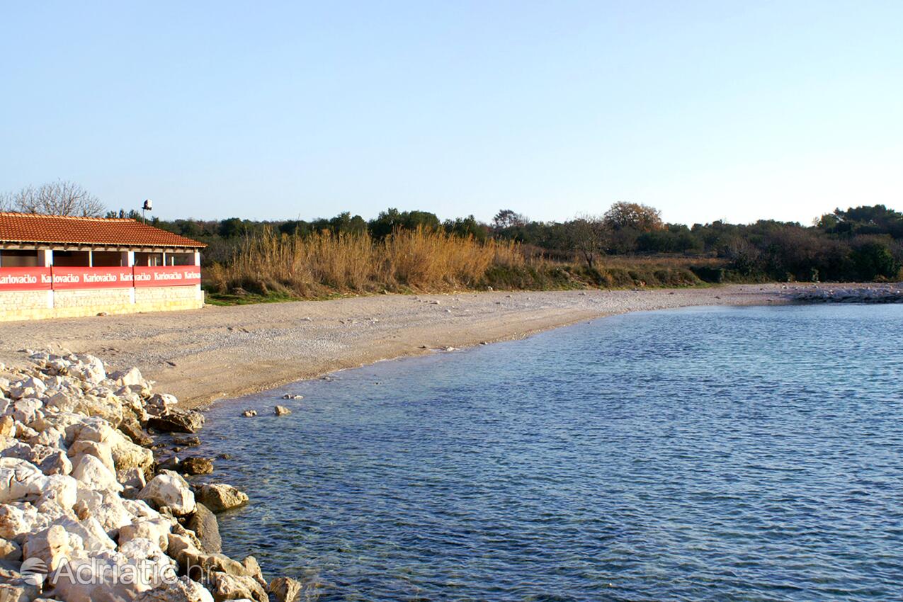 Adriatic.hr