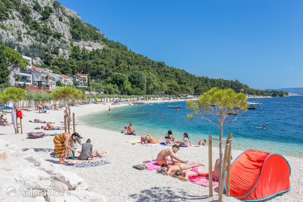 Adriatic.hr