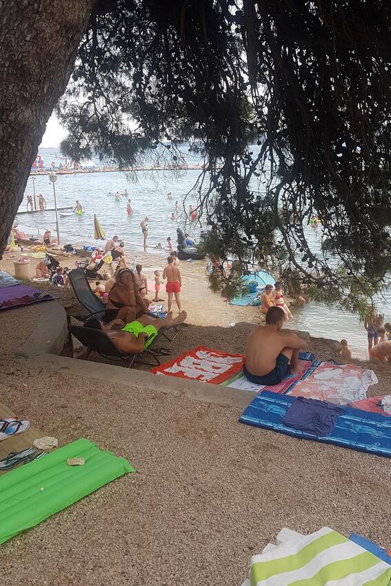 La plage la plus proche - Appartements avec WiFi Sveti Filip i Jakov, Biograd