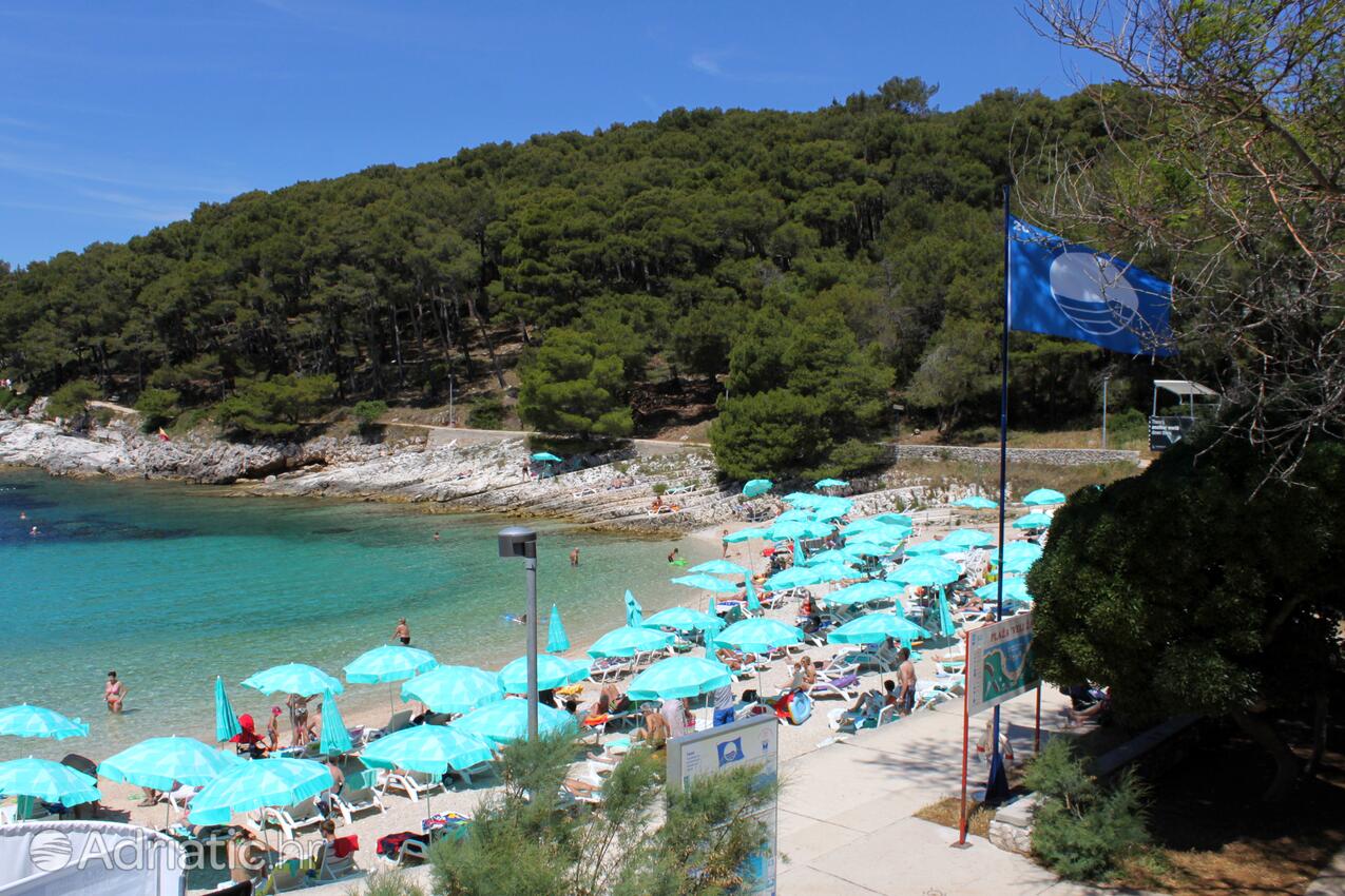 Adriatic.hr
