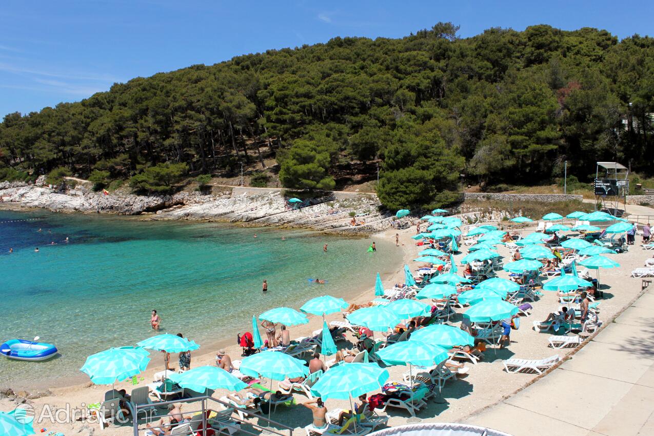 Adriatic.hr
