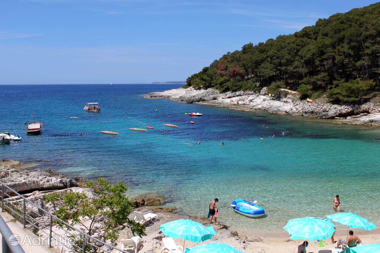 Adriatic.hr