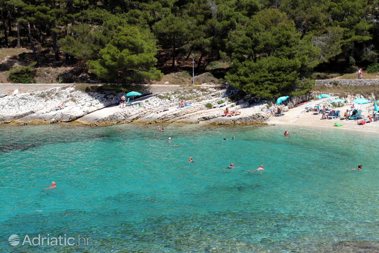 Adriatic.hr