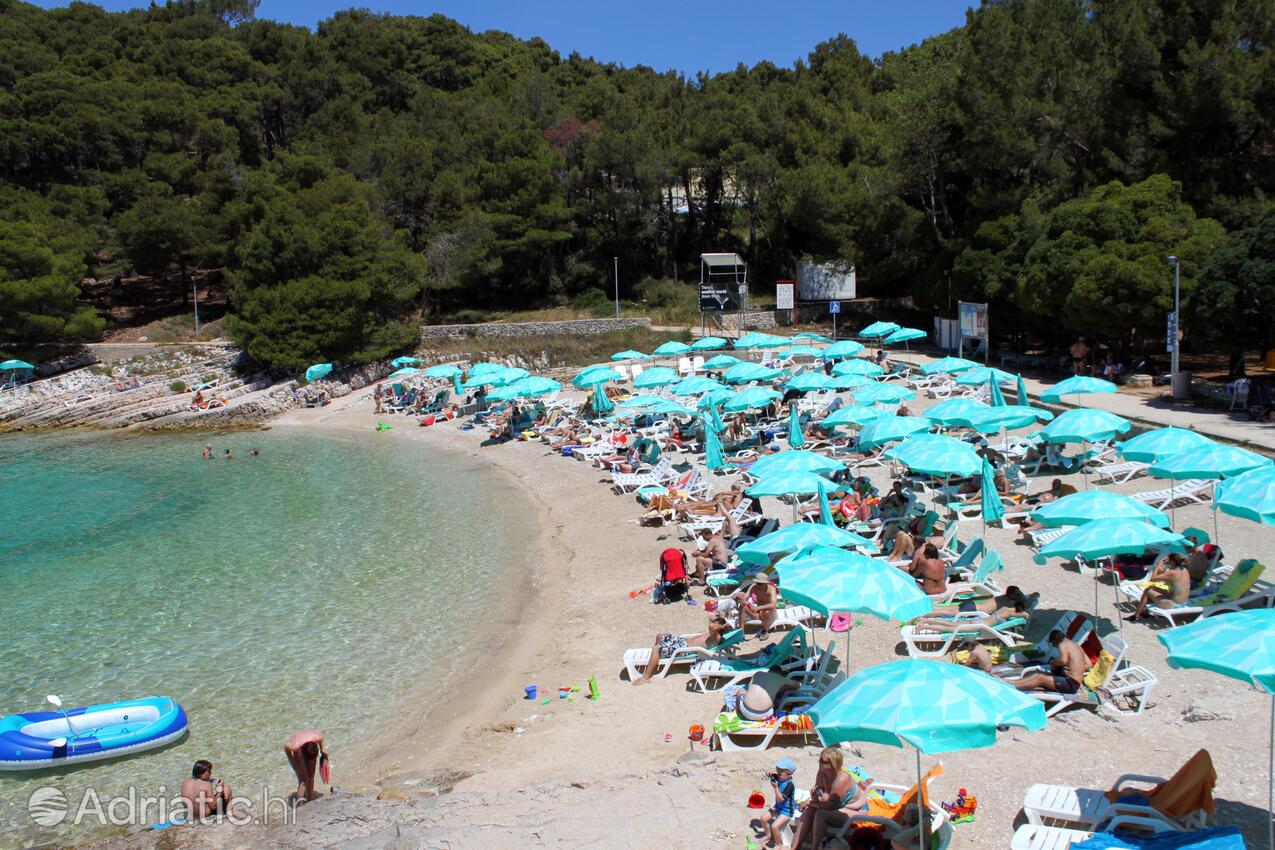 Adriatic.hr