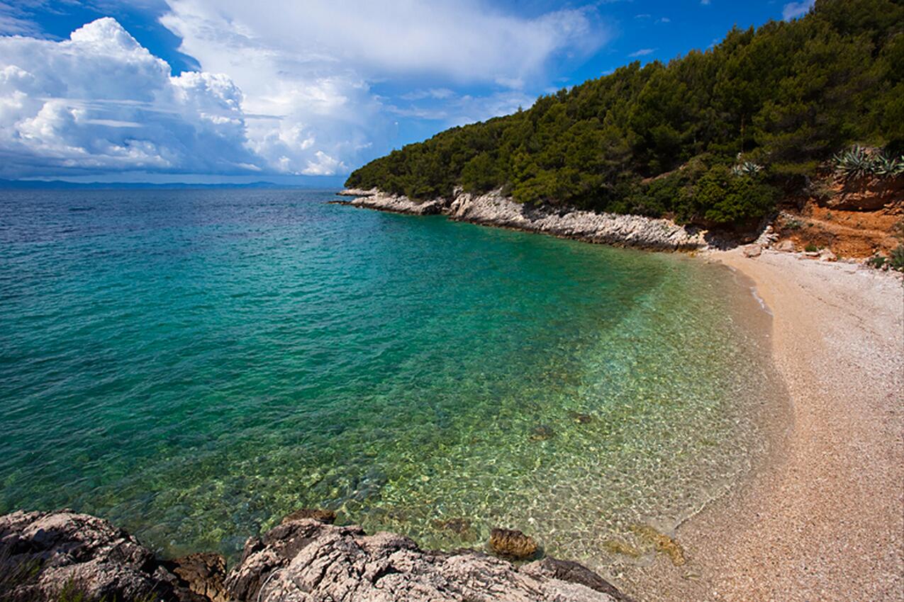 La spiaggia più vicina - Casa dei pescatori accanto al mare Baia Medvidina, Lesina - Hvar