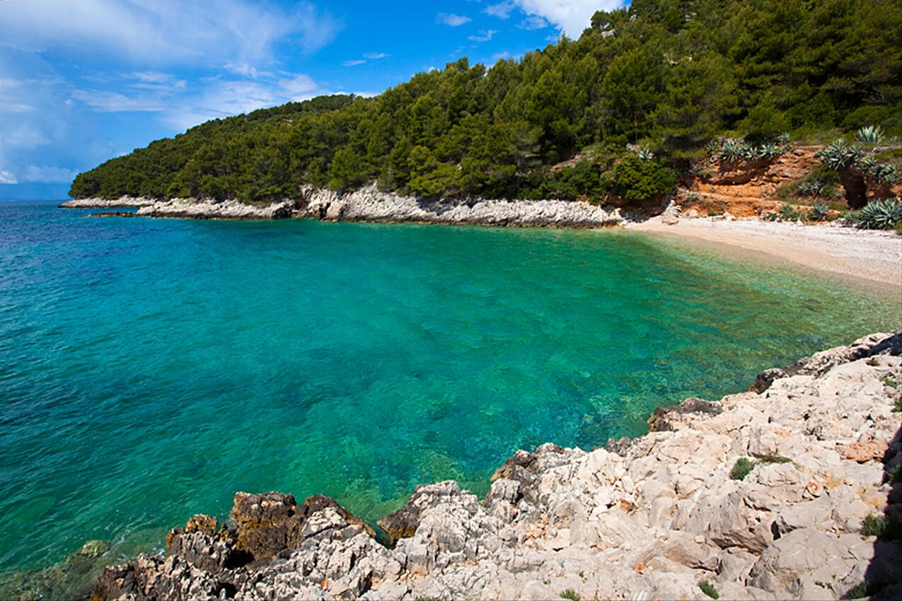 La spiaggia più vicina - Casa dei pescatori accanto al mare Baia Medvidina, Lesina - Hvar
