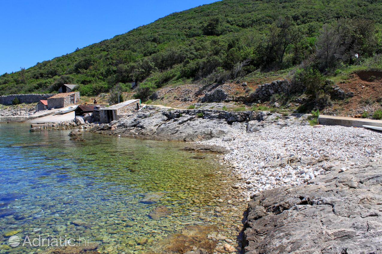 La spiaggia più vicina - Appartamenti e camere con parcheggio Cunski, Lussino - Lošinj