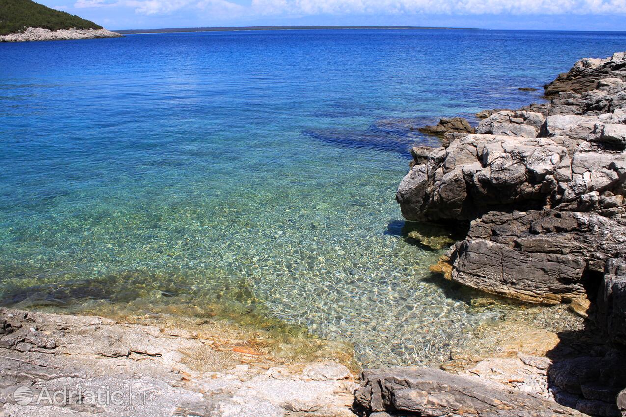 La spiaggia più vicina - Appartamenti e camere con parcheggio Cunski, Lussino - Lošinj