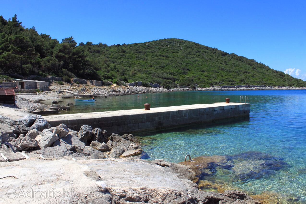 La spiaggia più vicina - Appartamenti e camere con parcheggio Cunski, Lussino - Lošinj