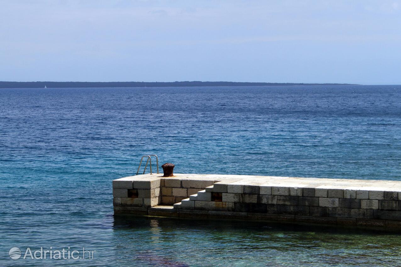 La spiaggia più vicina - Appartamenti e camere con parcheggio Cunski, Lussino - Lošinj