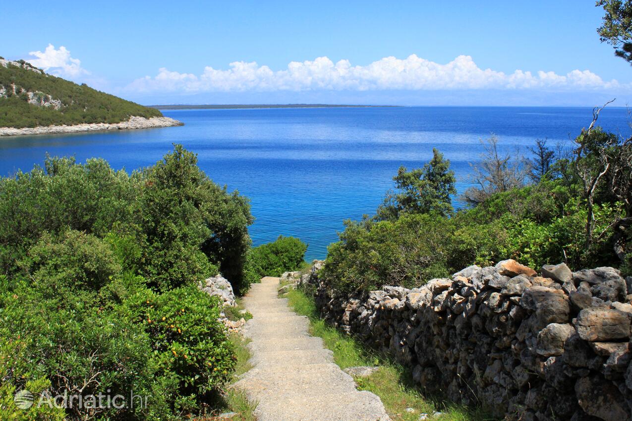 La spiaggia più vicina - Appartamenti e camere con parcheggio Cunski, Lussino - Lošinj