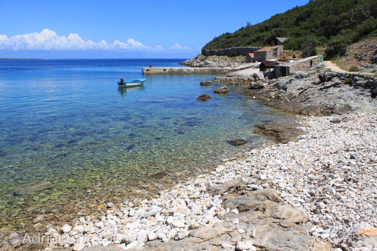 La spiaggia più vicina - Appartamenti e camere con parcheggio Cunski, Lussino - Lošinj