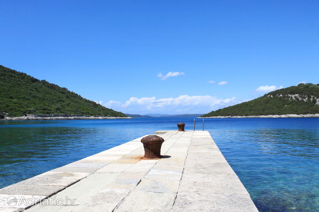 La spiaggia più vicina - Appartamenti e camere con parcheggio Cunski, Lussino - Lošinj