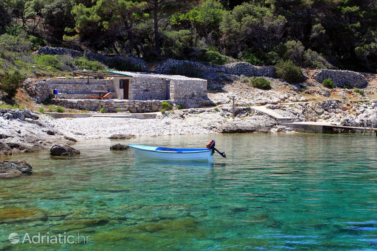 La spiaggia più vicina - Appartamenti e camere con parcheggio Cunski, Lussino - Lošinj