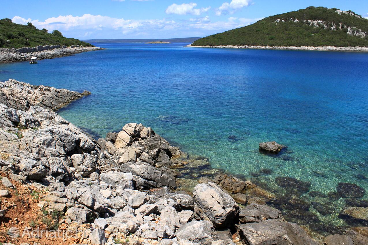 La spiaggia più vicina - Appartamenti e camere con parcheggio Cunski, Lussino - Lošinj
