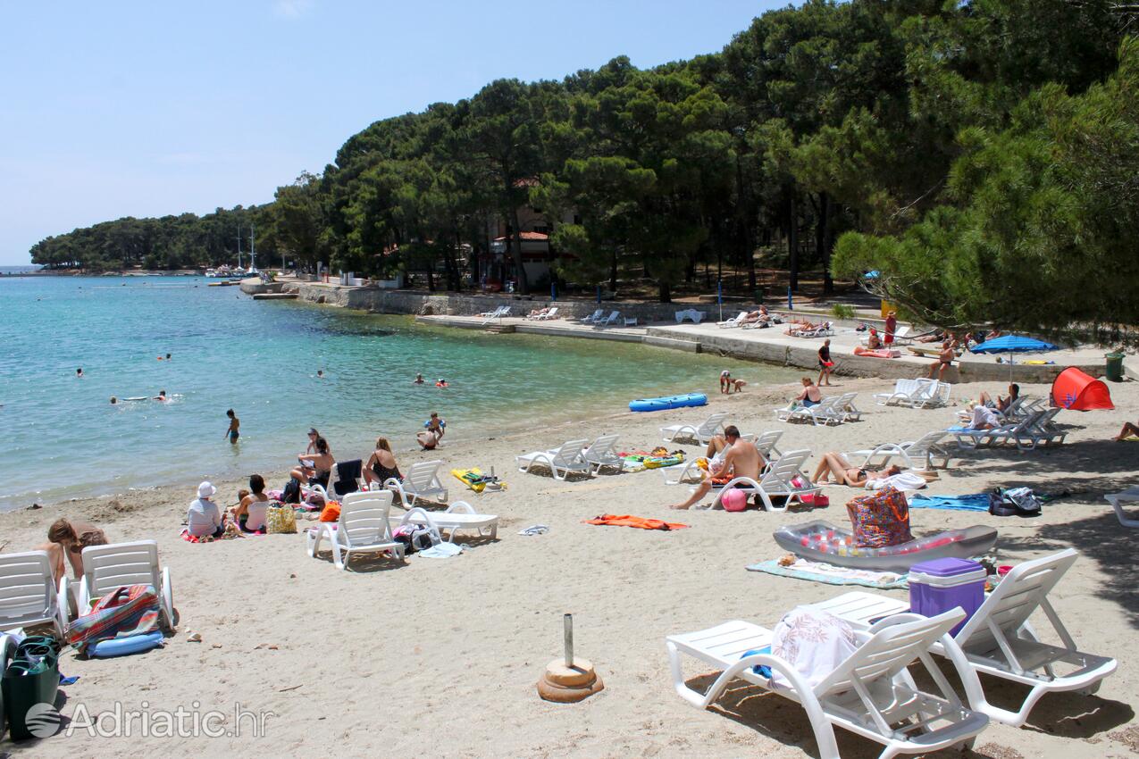 Adriatic.hr