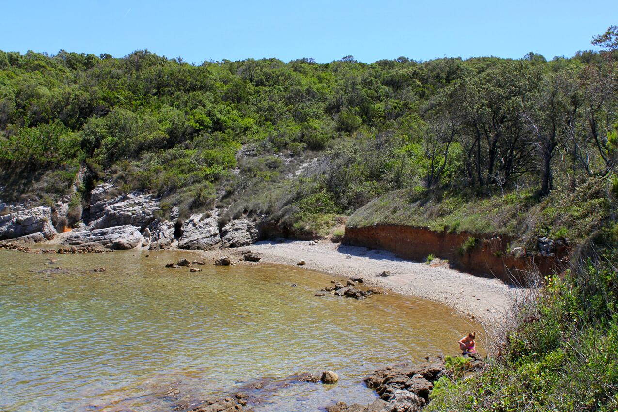 La spiaggia più vicina - Appartamenti con parcheggio San Giacomo - Sveti Jakov, Lussino - Lošinj