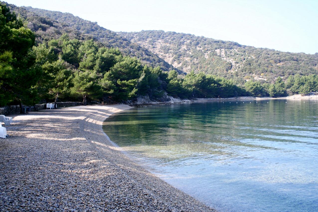 Nærmeste strand - Leiligheter ved sjøen Valun, Cres