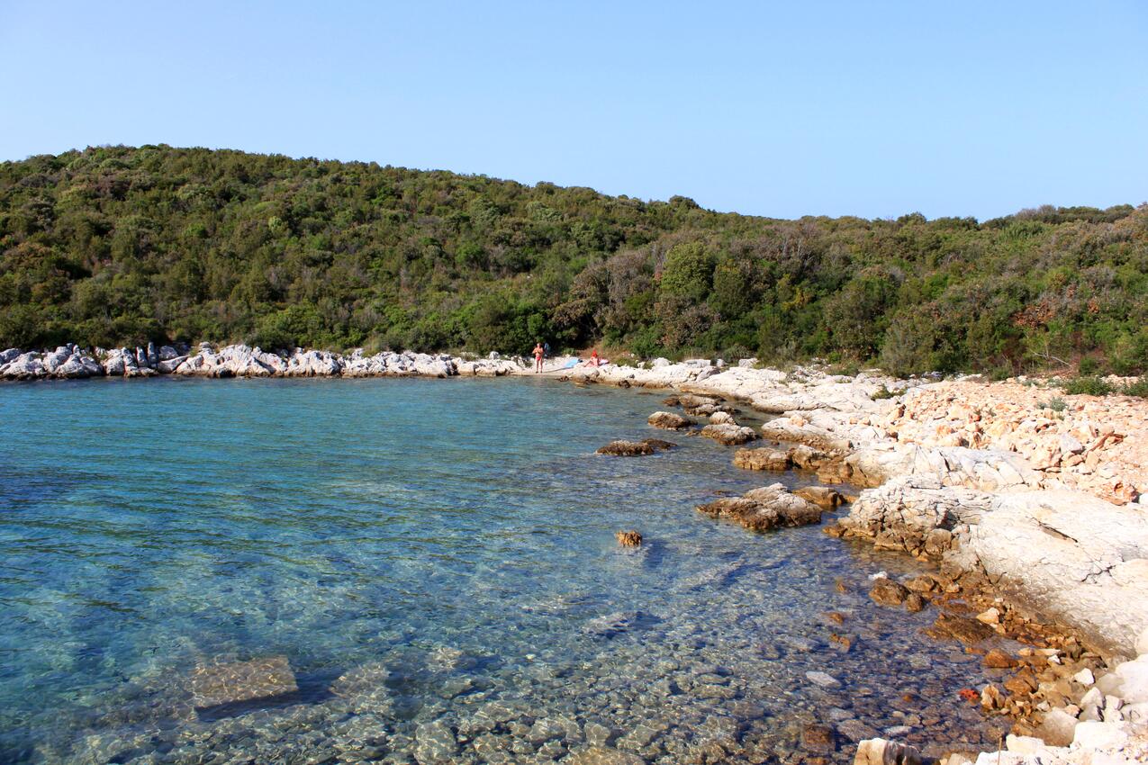 La spiaggia più vicina - Appartamenti con parcheggio Guduce, Ugliano - Ugljan