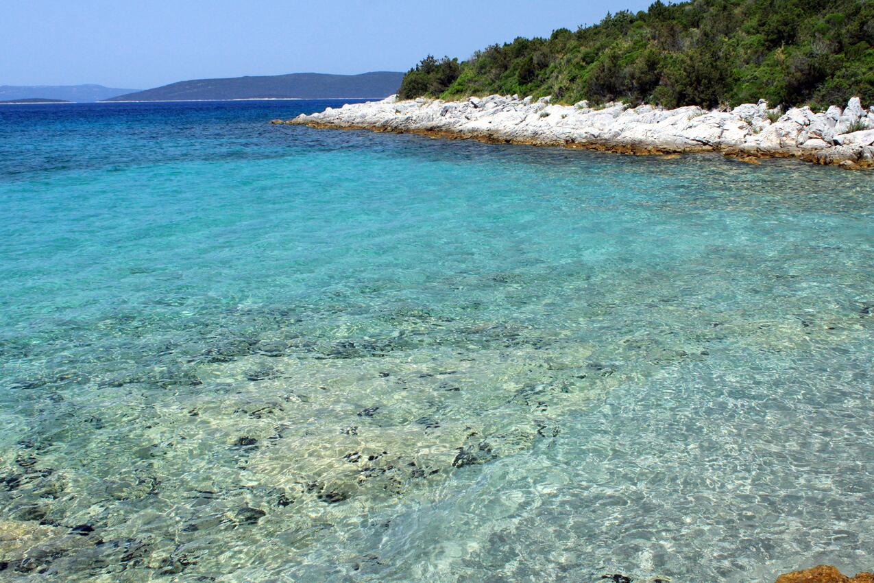 La spiaggia più vicina - Appartamenti con parcheggio Guduce, Ugliano - Ugljan