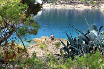 Pokoje u moře Božava, Dugi otok - 392