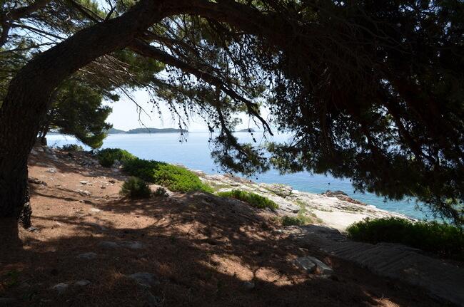 Nearest beach - Apartments by the sea Prižba, Korčula