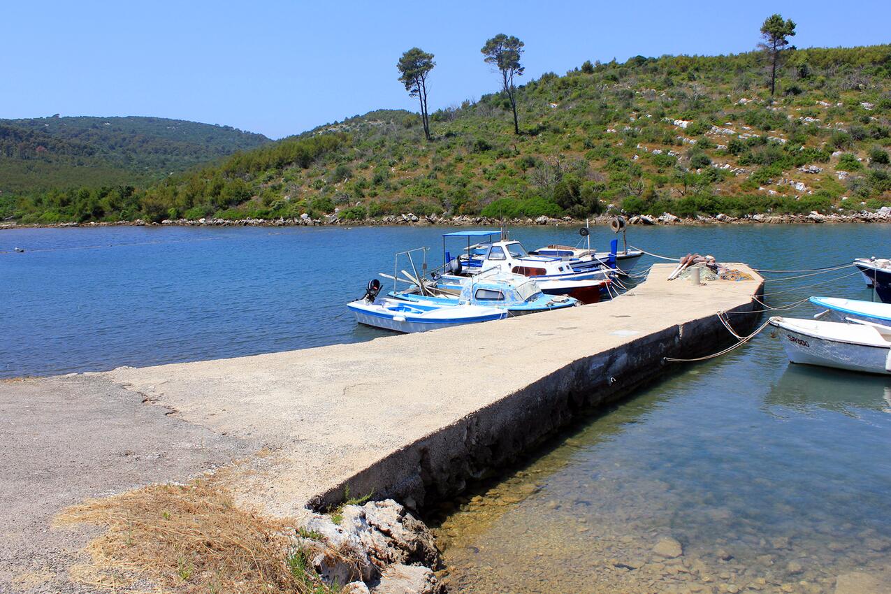 La spiaggia più vicina - Casa dei pescatori accanto al mare Baia Jaz - Telascica, Isola Lunga - Dugi otok