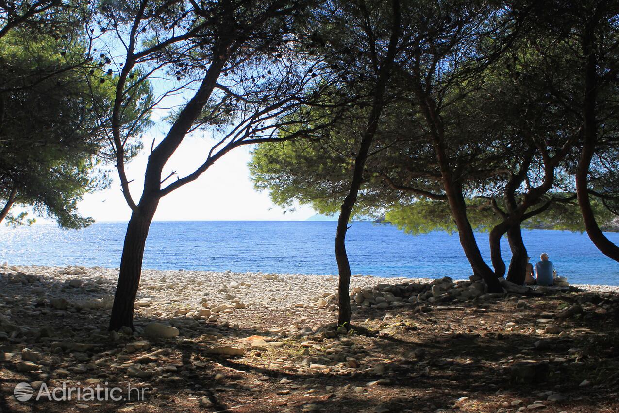 Adriatic.hr