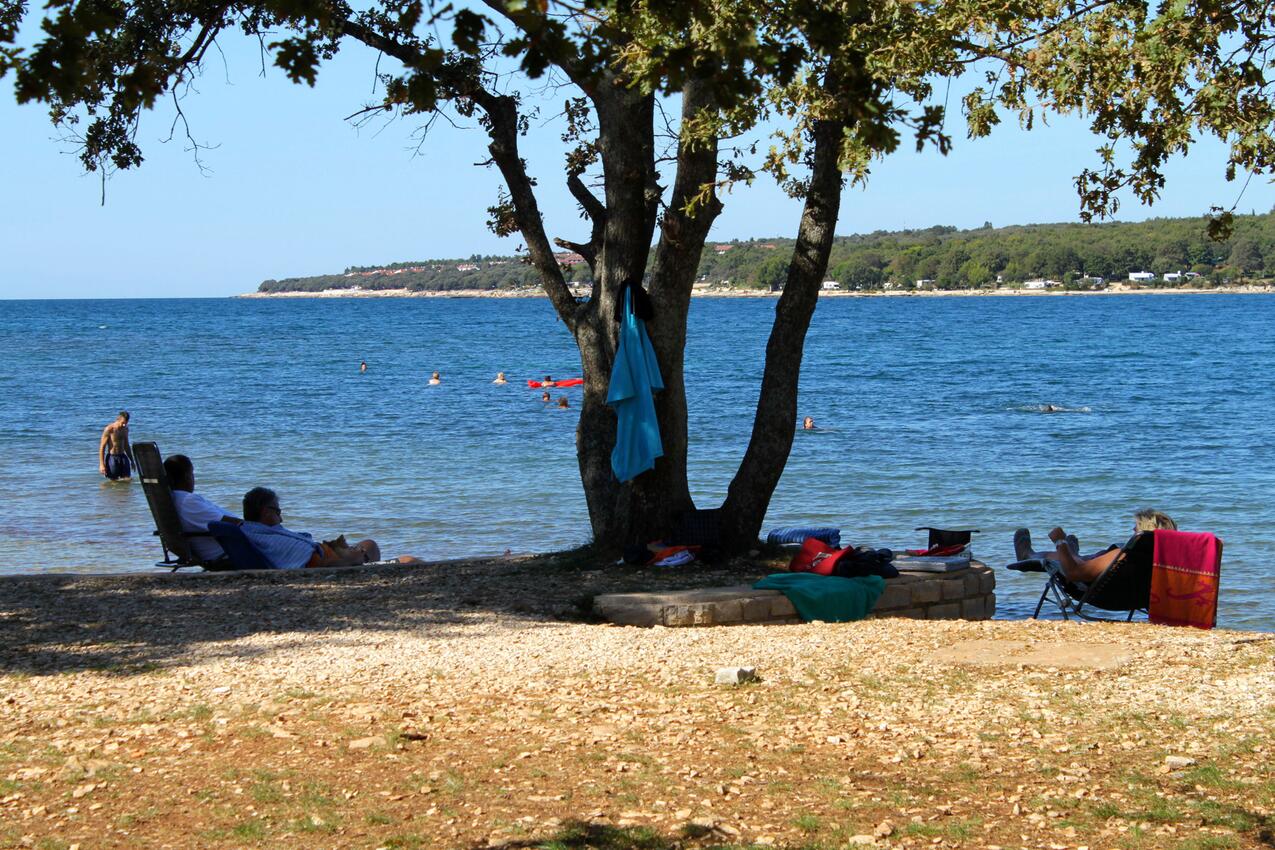 Nächster Strand - Haus mit Pool für Familien Basarinka, Porec