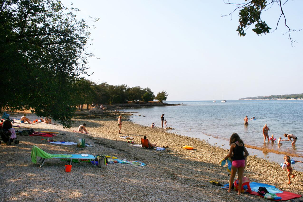 Nächster Strand - Haus mit Pool für Familien Basarinka, Porec