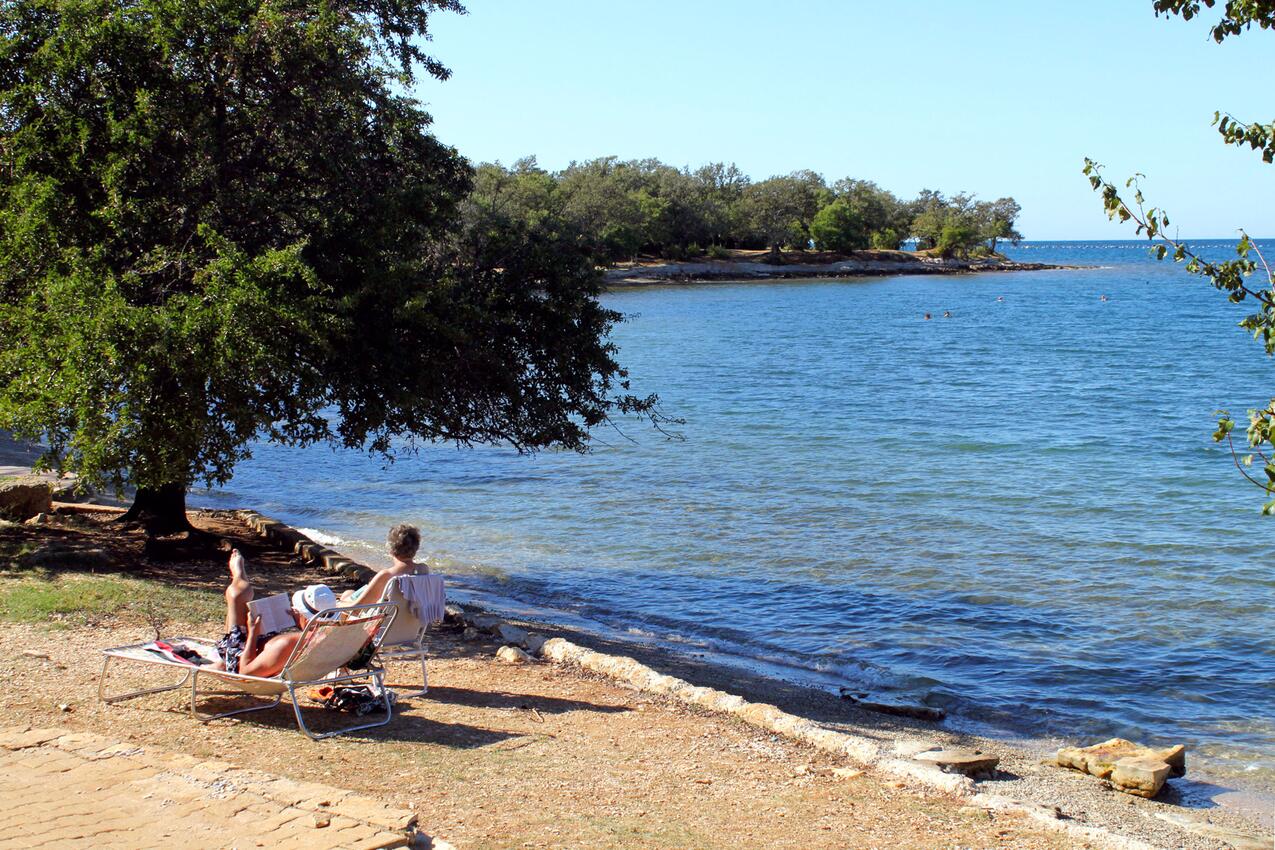 Nächster Strand - Haus mit Pool für Familien Basarinka, Porec