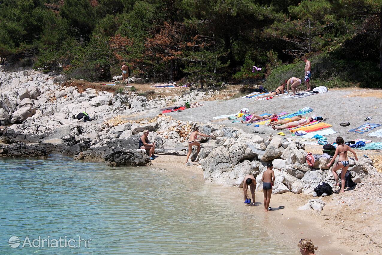 Adriatic.hr