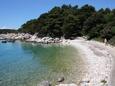 Der Strand Karandola im Ort Suha Punta, Rab.