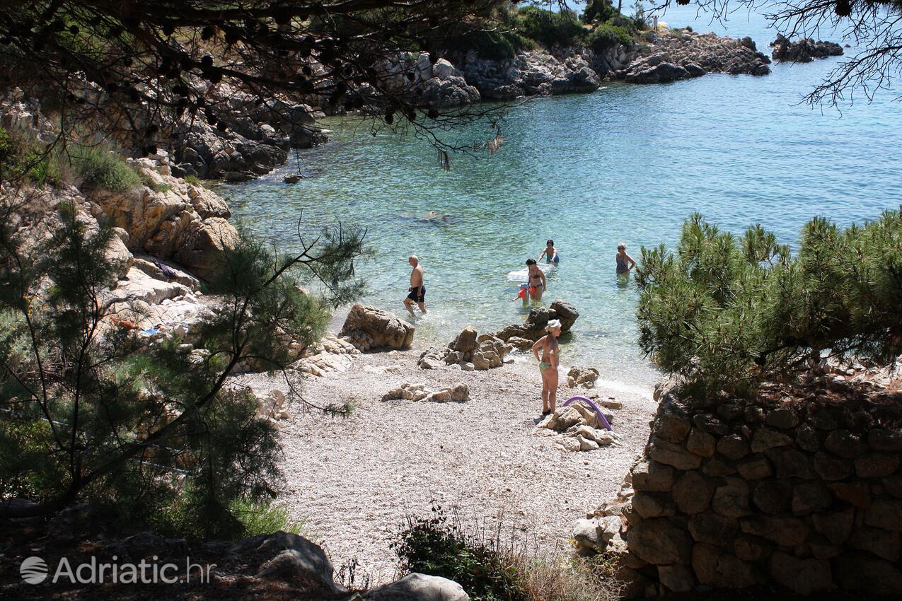 Nearest beach - Apartments with a parking space Suha Punta, Rab