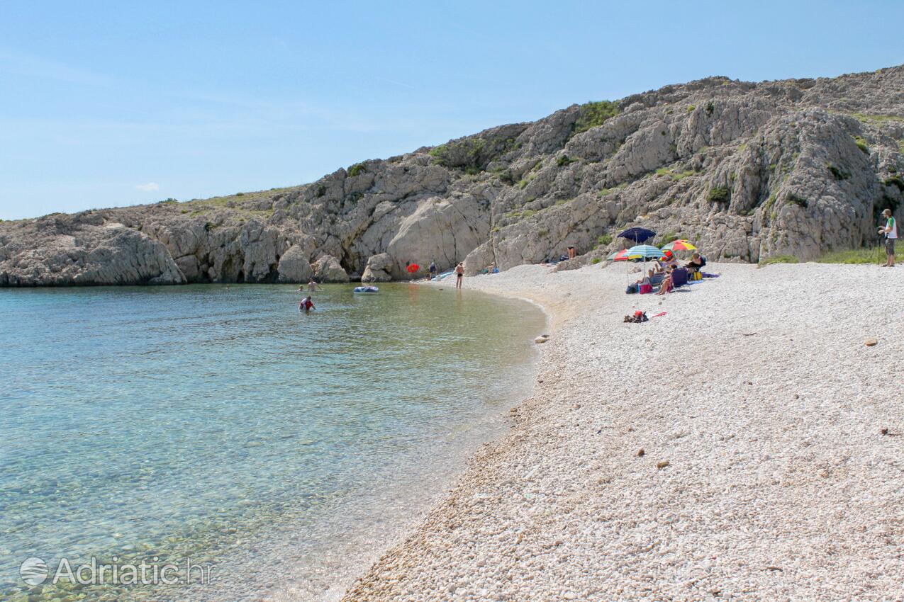 Adriatic.hr