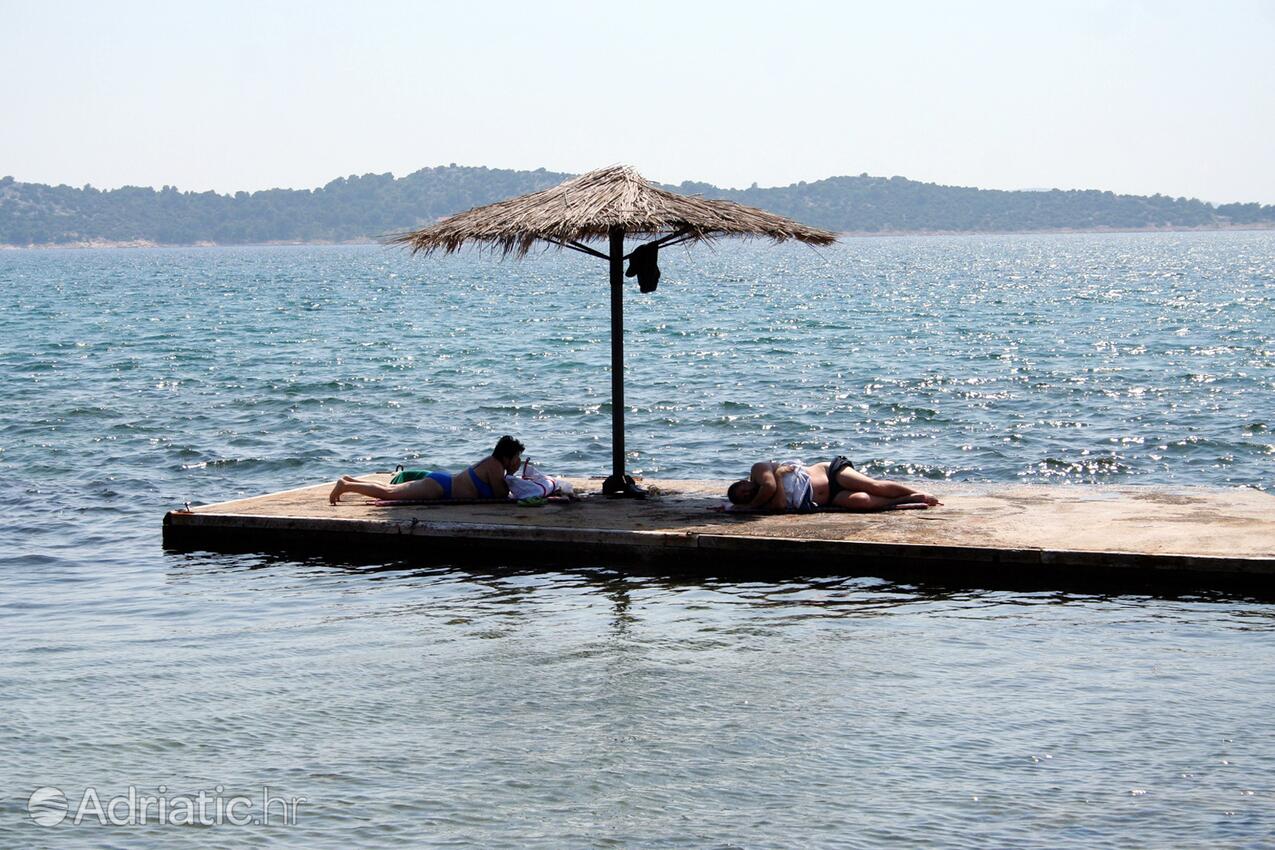 Adriatic.hr