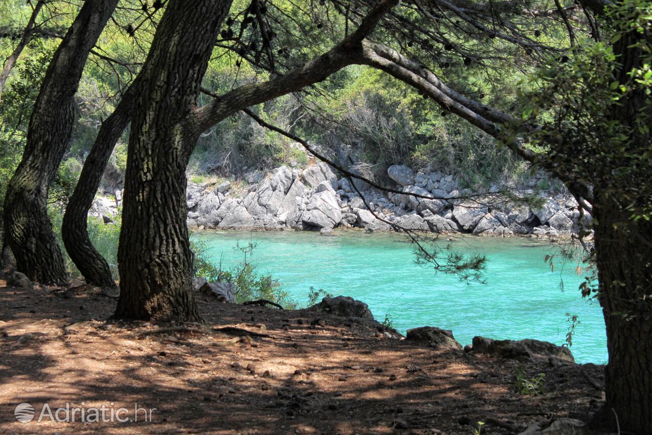 Adriatic.hr