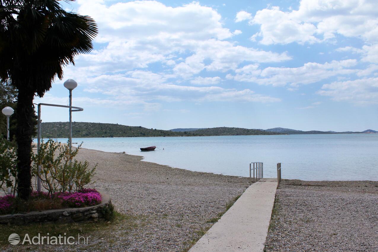 La spiaggia più vicina - Appartamenti accanto al mare Slosella - Pirovac, Sebenico - Šibenik