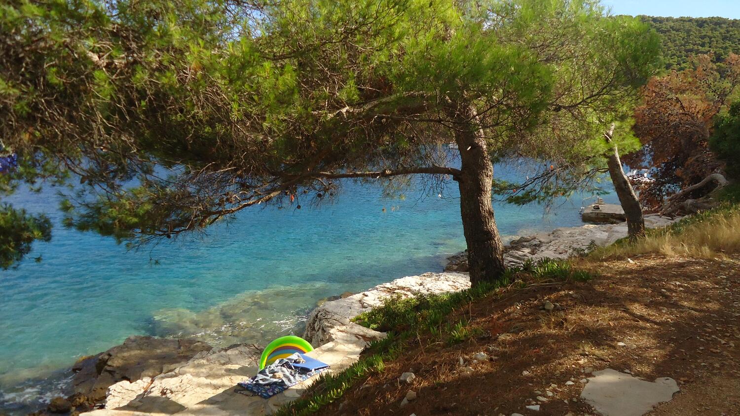 La spiaggia più vicina - Appartamenti accanto al mare Baia Gornja Krusica, Solta