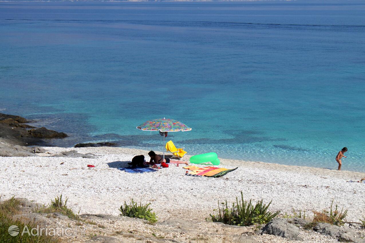 Adriatic.hr
