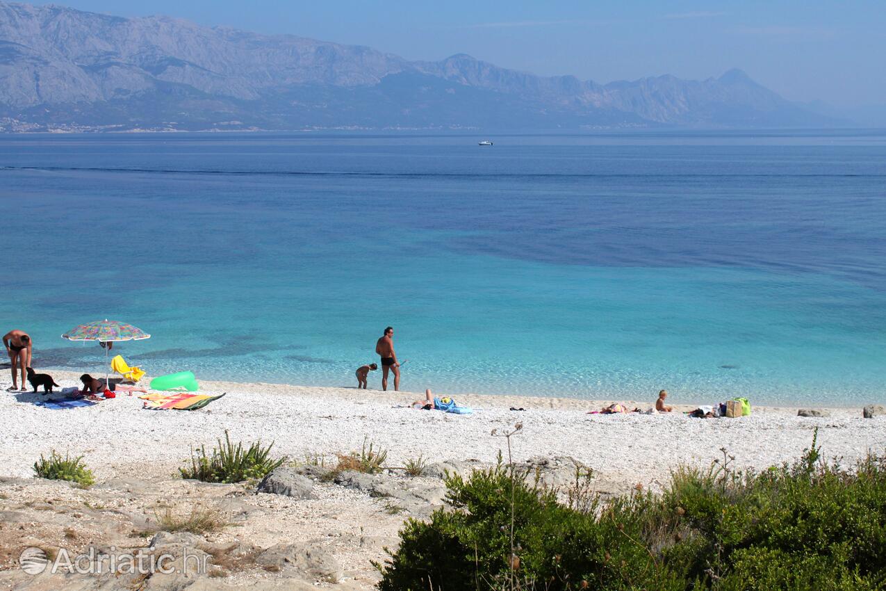 Adriatic.hr