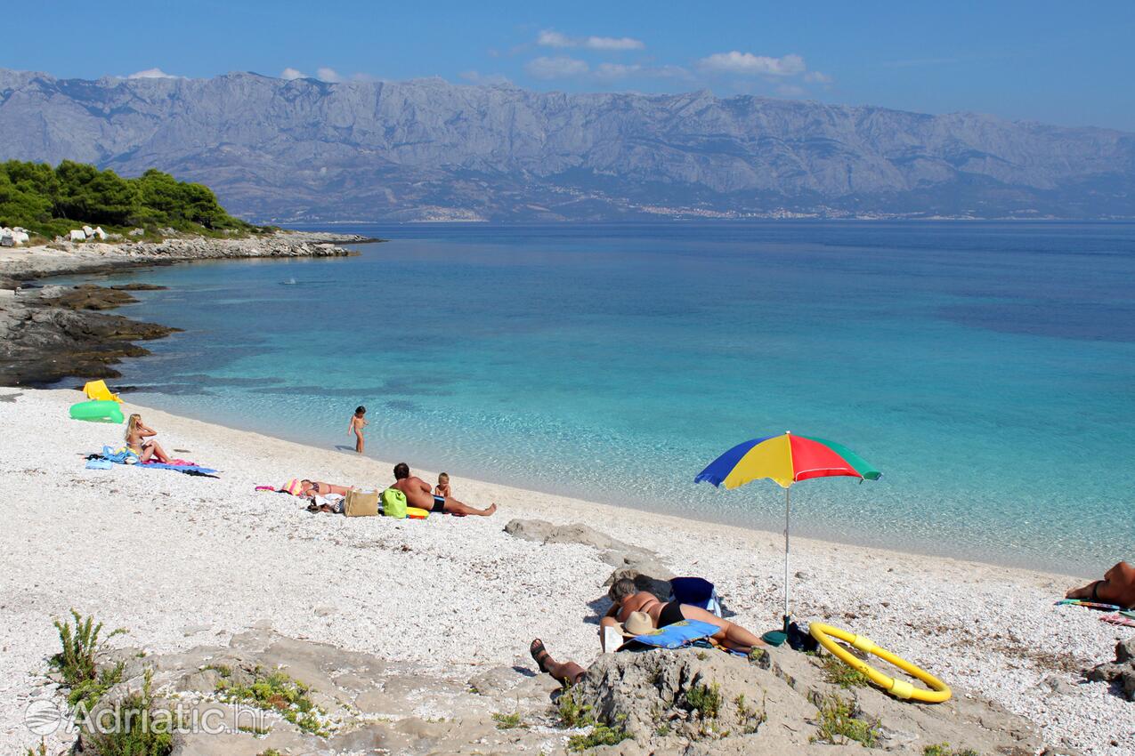 Adriatic.hr